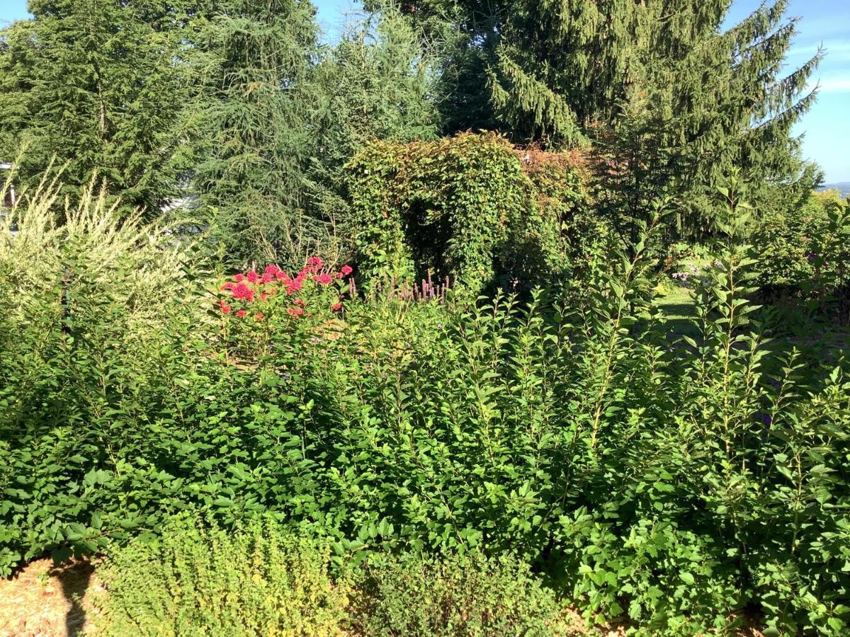 Les Saisons Du Fleuve Bed & Breakfast Lotbiniere Bagian luar foto